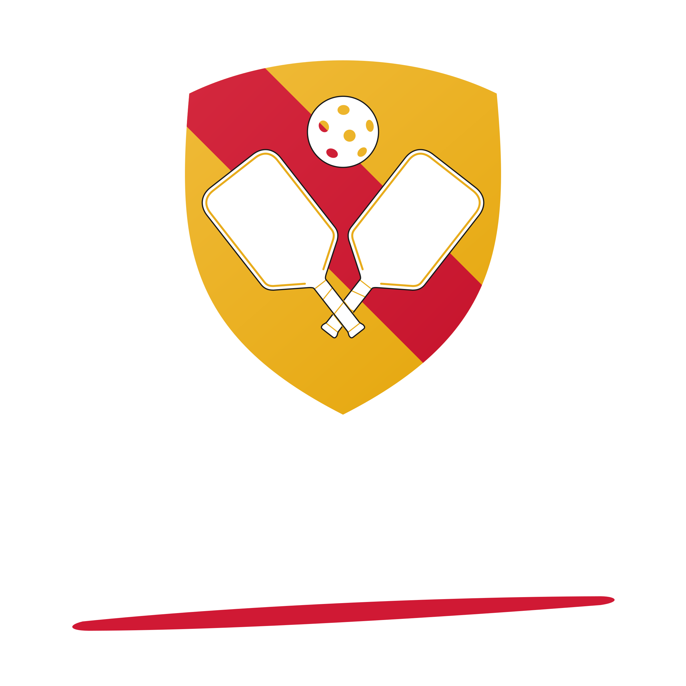 Pickleball Südbaden e.V.